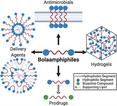 Biomedically Relevant Applications of Bolaamphiphiles and Bolaamphiphile-Containing Materials